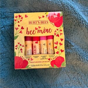 Burt's Bees Bee Mine Moisturizing Lip Balm Set